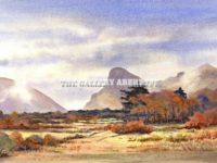 Rising Mist Bird Rock (Craig Aderyn)