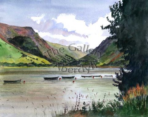 Talyllyn Moorings