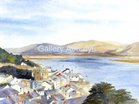 Aberdyfi from Pen y Bryn