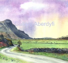 Craig yr Aderyn & Dysynni Valley