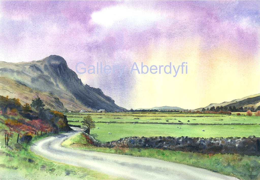 Craig yr Aderyn & Dysynni Valley