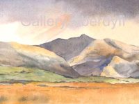 Dappled Light – Dysynni