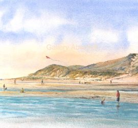 Beach Activities Aberdyfi