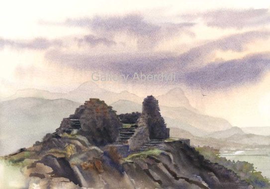 Castell y Bere, Dysynni